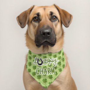 Saint Patricks Day LUCKY CHARM Four Leaf Clover Pet Bandana Collar