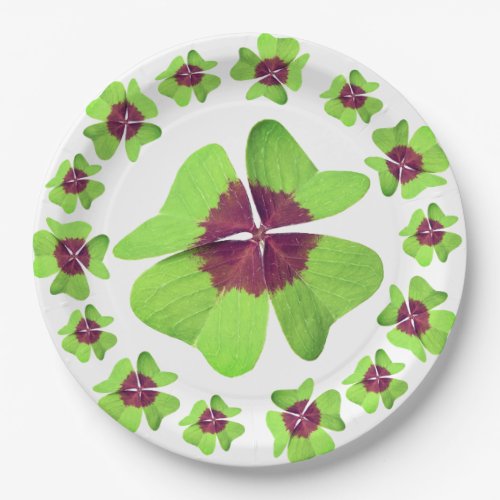 Saint Patricks Day  Paper Plate