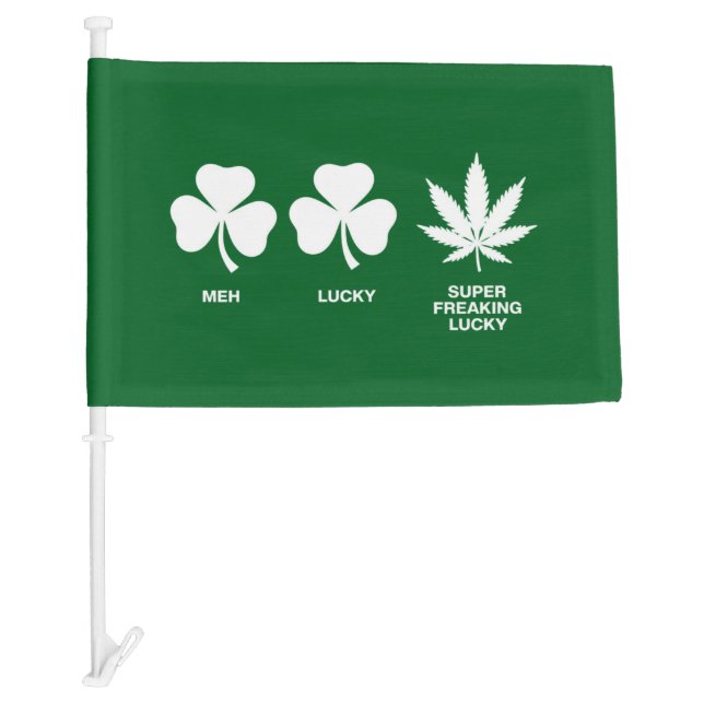 Saint Patricks Funny Party for Guys  Car Flag (Front)