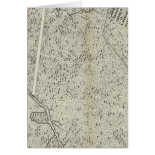 Saint Petersburg, Russia 4