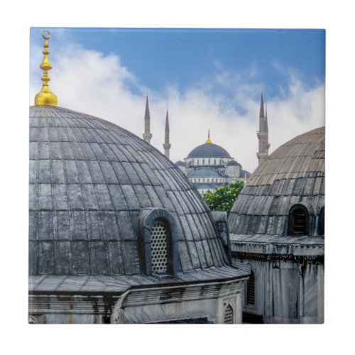 Saint Sophie Cathedral and Blue Mosque _ Istanbul Ceramic Tile
