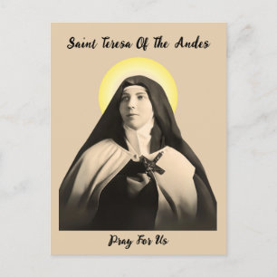 SAINT TERESA OF THE ANDES HOLIDAY POSTCARD