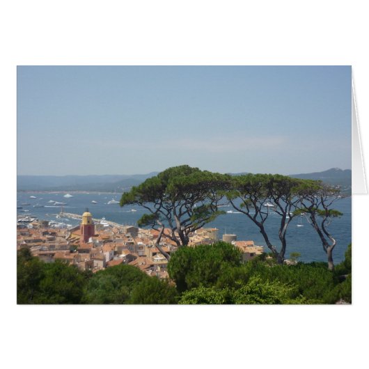 saint tropez trees harbor (Front Horizontal)