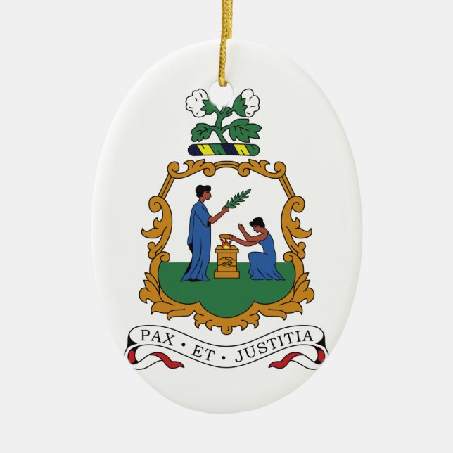 Saint Vincent and the Grenadines Coat of Arms Ceramic Ornament (Front)