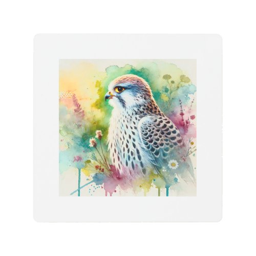 Saker Falcon 250624AREF122 _ Watercolor Metal Print