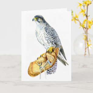 Saker/Gyr falcon birthday Card
