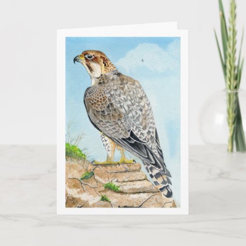 Saker Peregrine Falcon Birthday Card