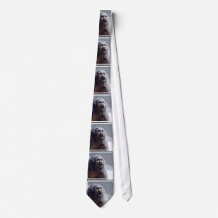 Saki Monkey Face Neck Tie
