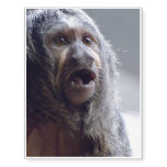 Saki Monkey Face Temporary Tattoos