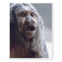 Saki Monkey Face Temporary Tattoos