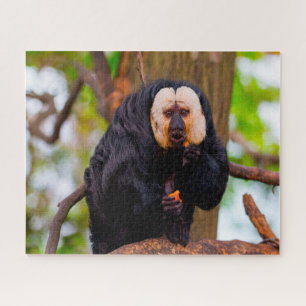 Saki Monkeys. Jigsaw Puzzle