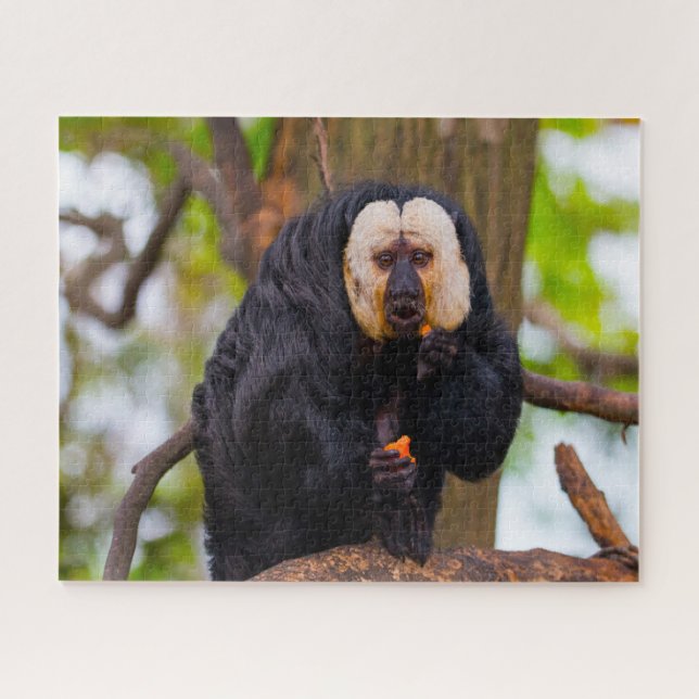 Saki Monkeys. Jigsaw Puzzle (Horizontal)