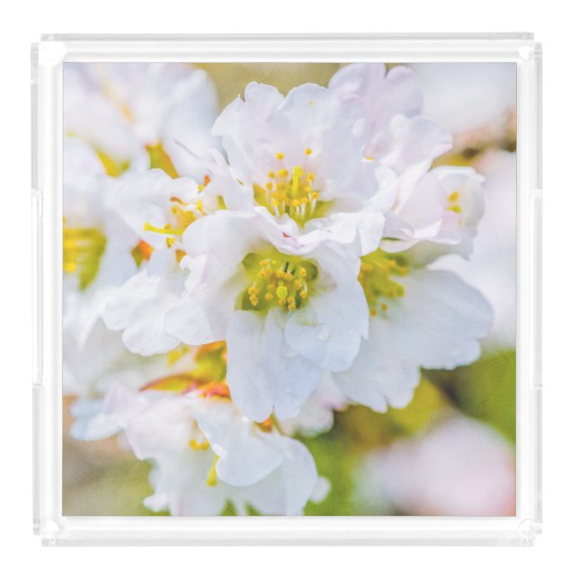 Sakura Blossom Acrylic Tray (Large)