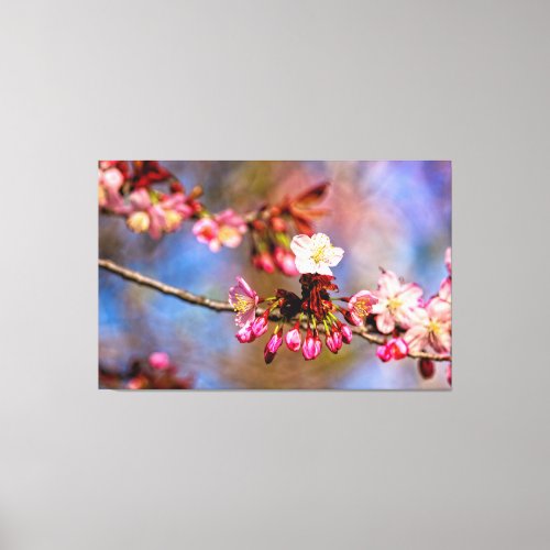 Sakura Blossom And Purple Buds On A Sunny Day Canvas Print