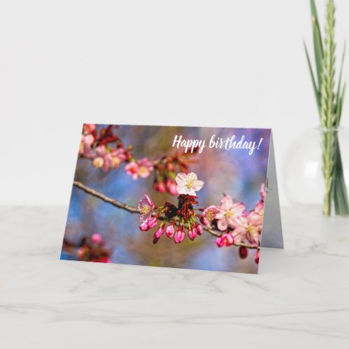 Sakura Blossom And Purple Buds On A Sunny Day Card