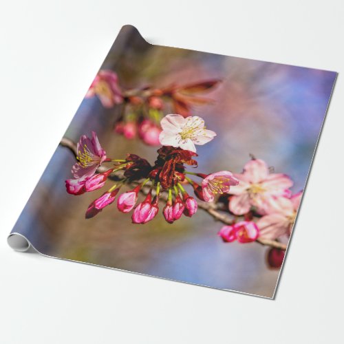 Sakura Blossom And Purple Buds On A Sunny Day Wrapping Paper