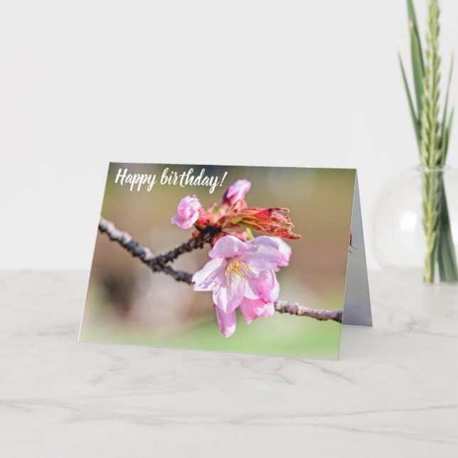 Sakura Buds And A Flower, Green, Beige Background Card (Front)