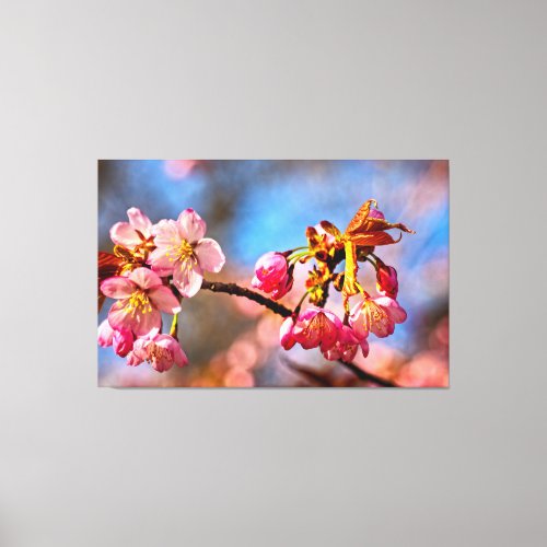 Sakura Buds Are Ready To Open And Bloom In Spring Canvas Print