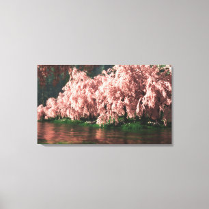 Sakura Canvas Print