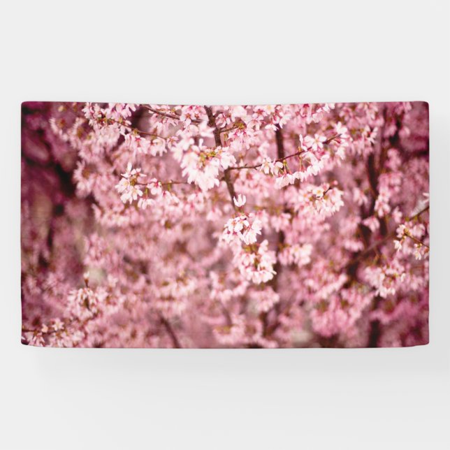 Sakura Cherry Blossom Banner (Horizontal)