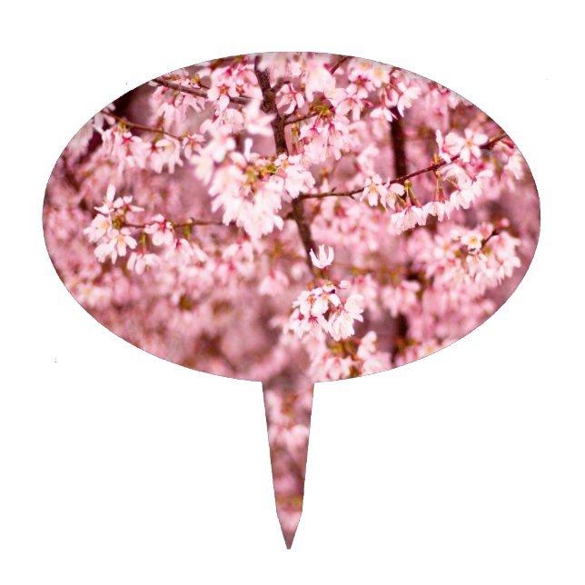 Sakura Cherry Blossom Cake Topper (Front)