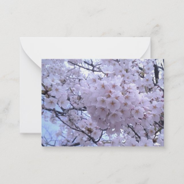 Sakura Cherry Blossom Note Cards (Front)