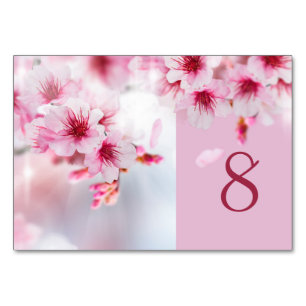 Sakura, Cherry blossom Table Number Card