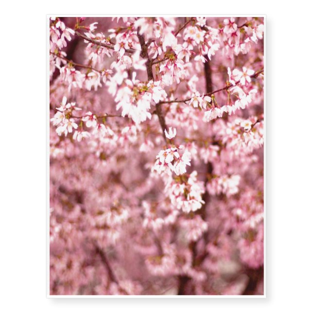 Sakura Cherry Blossom Temporary Tattoos (Front)