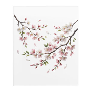 sakura cherry blossom watercolor acrylic print