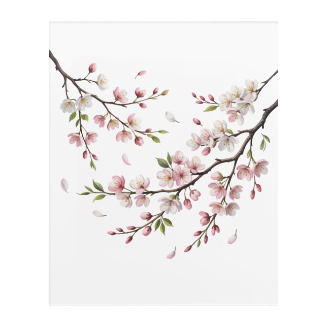 sakura cherry blossom watercolor  acrylic print (Front)