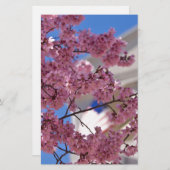 Sakura Cherry Blossoms Americana (Front/Back)