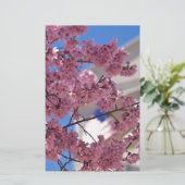 Sakura Cherry Blossoms Americana (Standing Front)