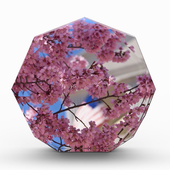 Sakura Cherry Blossoms Americana Acrylic Award (Front)