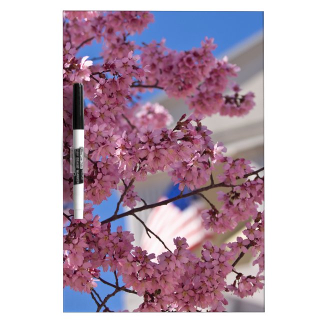 Sakura Cherry Blossoms Americana Dry Erase Board (Front)