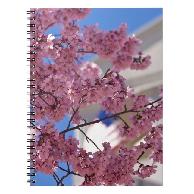 Sakura Cherry Blossoms Americana Notebook (Front)