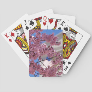 Sakura Cherry Blossoms Americana Poker Cards