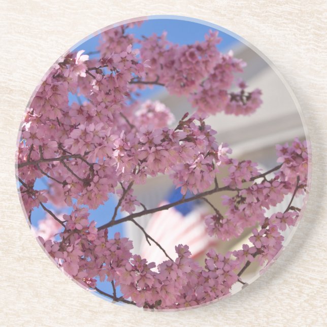 Sakura Cherry Blossoms Americana Sandstone Coaster (Front)