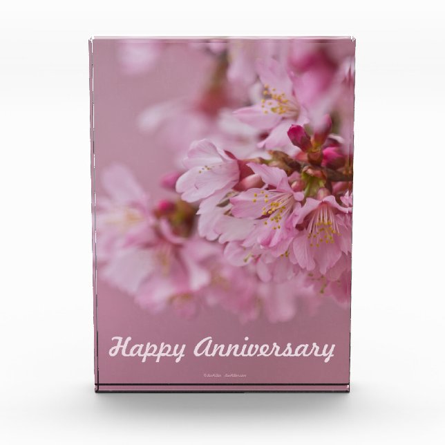 Sakura Cherry Blossoms Anniversary Forever Card Award (Front)