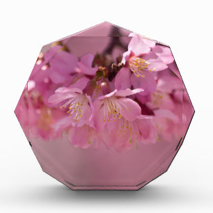 Sakura Cherry Blossoms Delicate Pink Bouquet Award