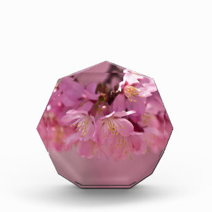 Sakura Cherry Blossoms Delicate Pink Bouquet Award