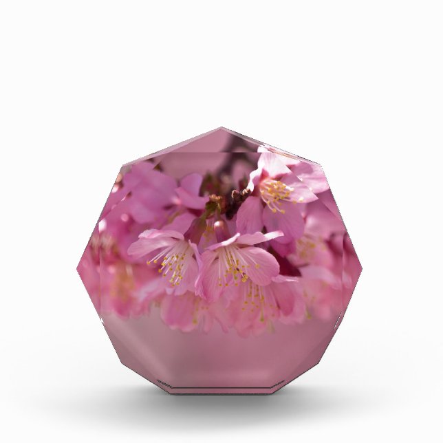 Sakura Cherry Blossoms Delicate Pink Bouquet Award (Front)