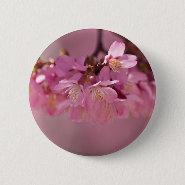 Sakura Cherry Blossoms Delicate Pink Bouquet Button (Front)