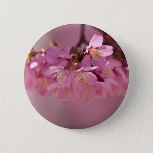 Sakura Cherry Blossoms Delicate Pink Bouquet Button