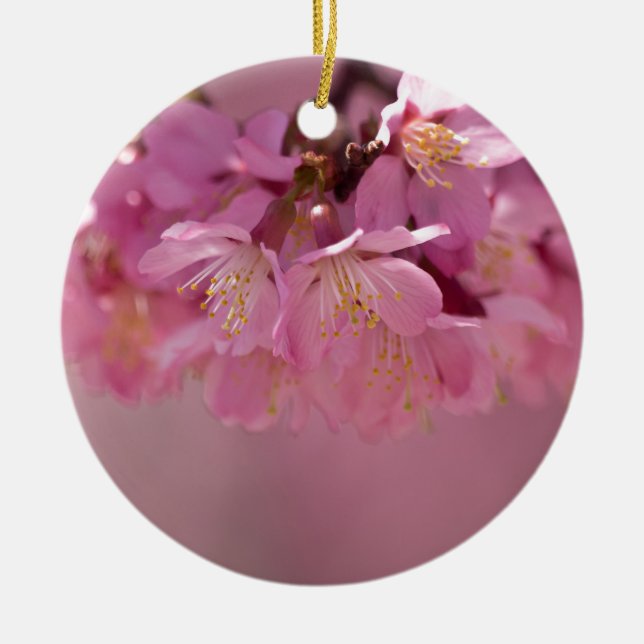 Sakura Cherry Blossoms Delicate Pink Bouquet Ceramic Ornament (Front)