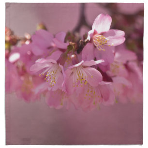 Sakura Cherry Blossoms Delicate Pink Bouquet Cloth Napkin