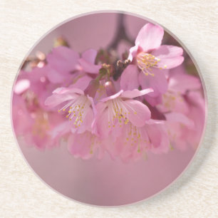 Sakura Cherry Blossoms Delicate Pink Bouquet Drink Coaster