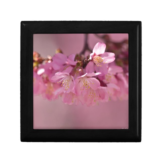 Sakura Cherry Blossoms Delicate Pink Bouquet Keepsake Box (Front)