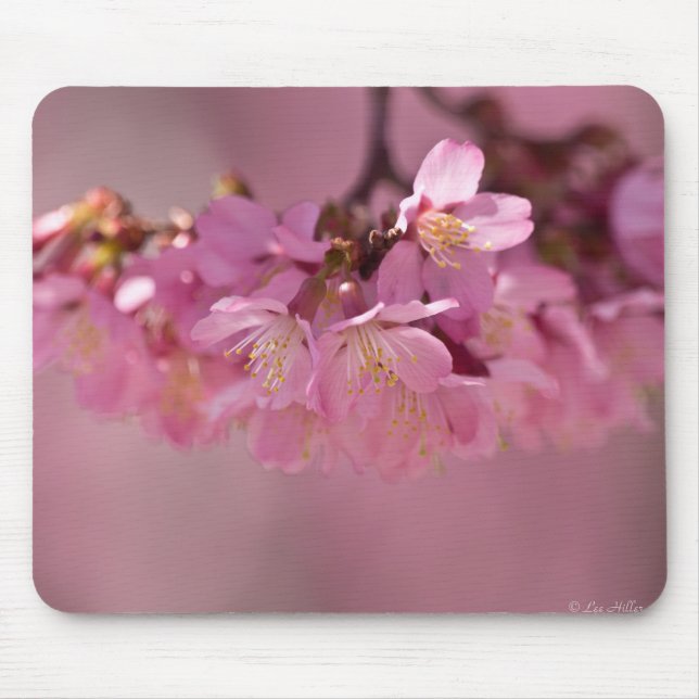 Sakura Cherry Blossoms Delicate Pink Bouquet Mouse Pad (Front)