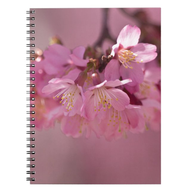 Sakura Cherry Blossoms Delicate Pink Bouquet Notebook (Front)