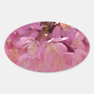 Sakura Cherry Blossoms Delicate Pink Bouquet Oval Sticker